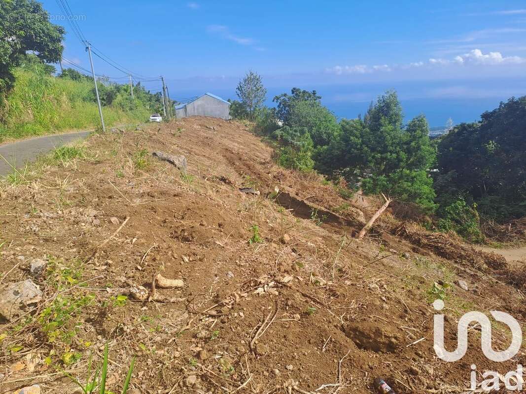 Photo 2 - Terrain à SAINT-PAUL