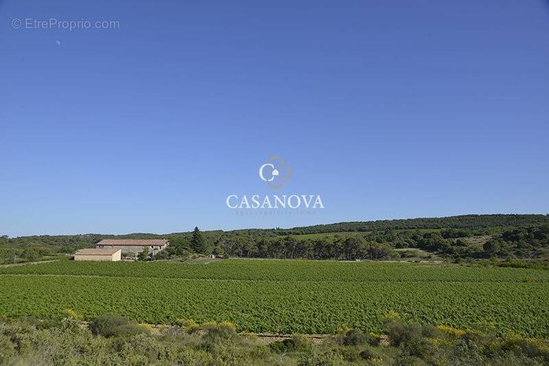 Maison à MONTPELLIER