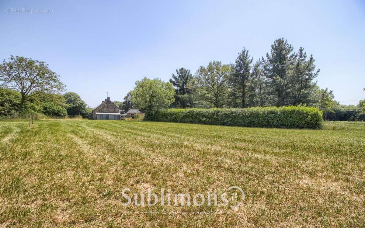 Terrain à SAINT-GILDAS-DES-BOIS
