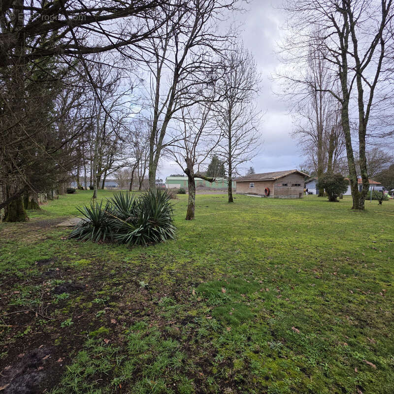 Terrain à SORE