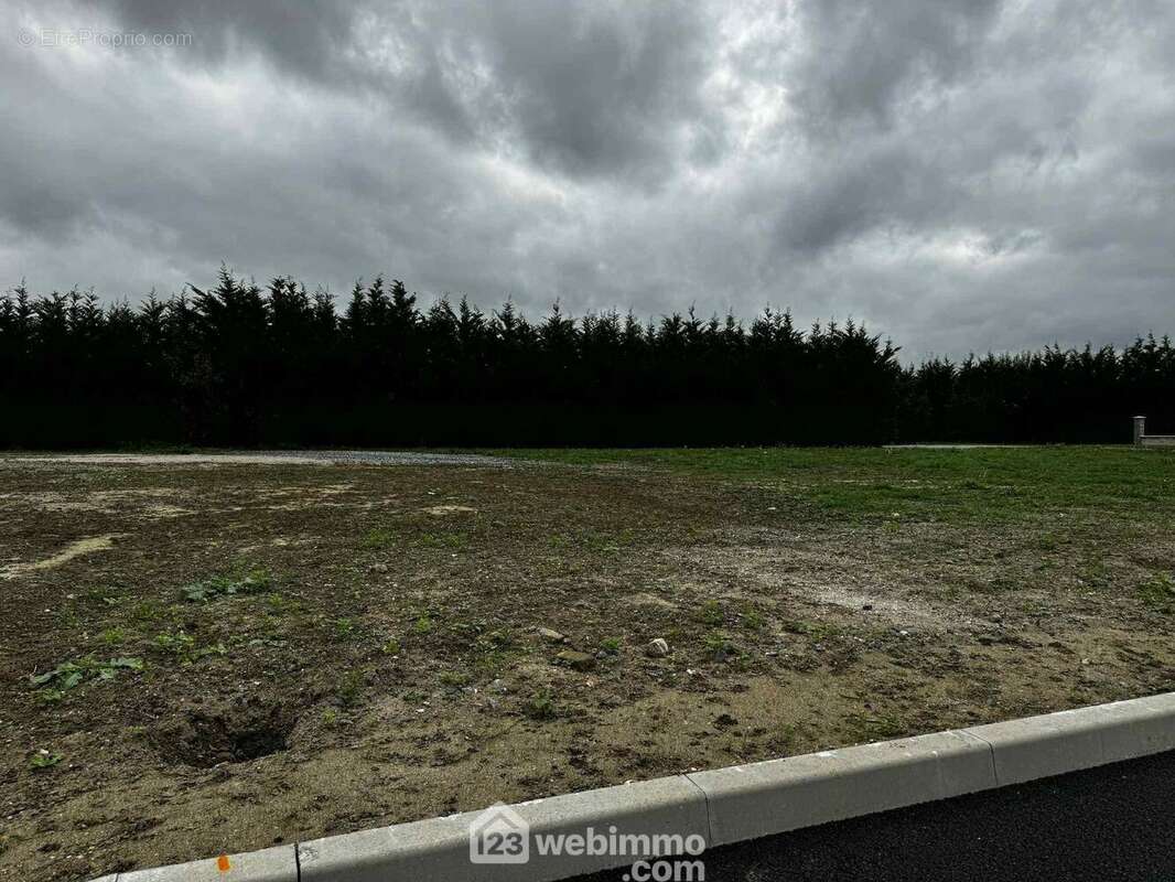 Une opportunité rare à découvrir sans tarder pour réaliser la maison de vos rêves - Terrain à VERSIGNY