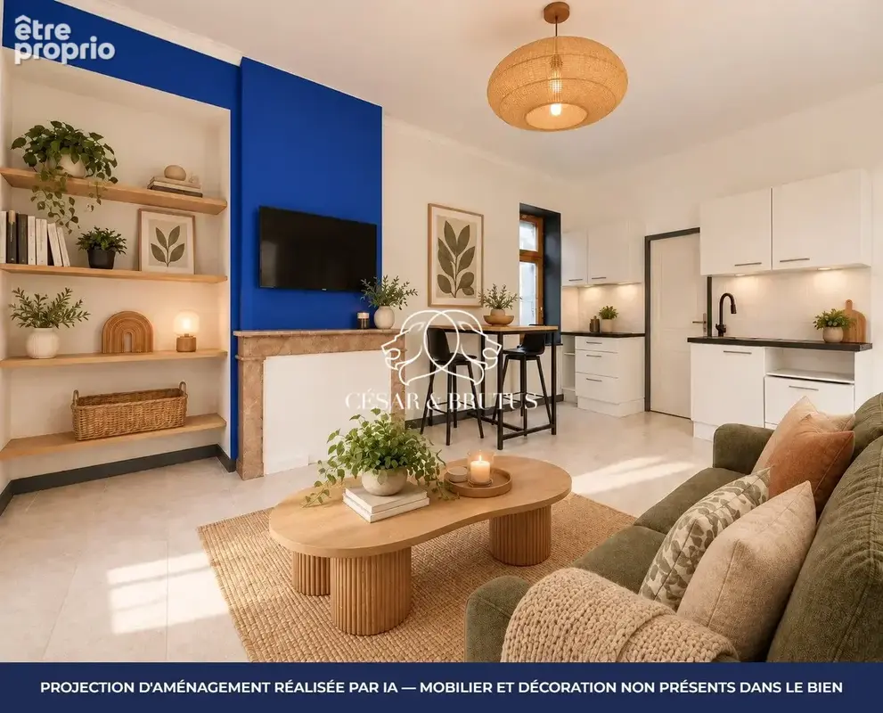 Appartement à NEUVILLE-SUR-SAONE