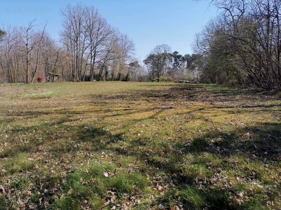 Terrain à MARSANEIX