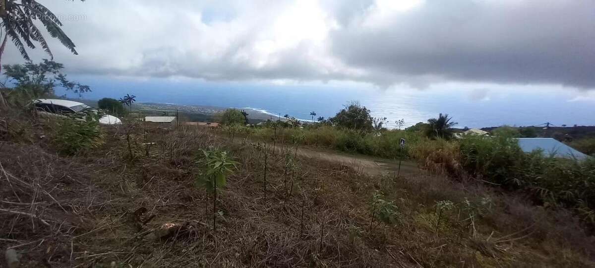 Terrain à SAINT-LEU