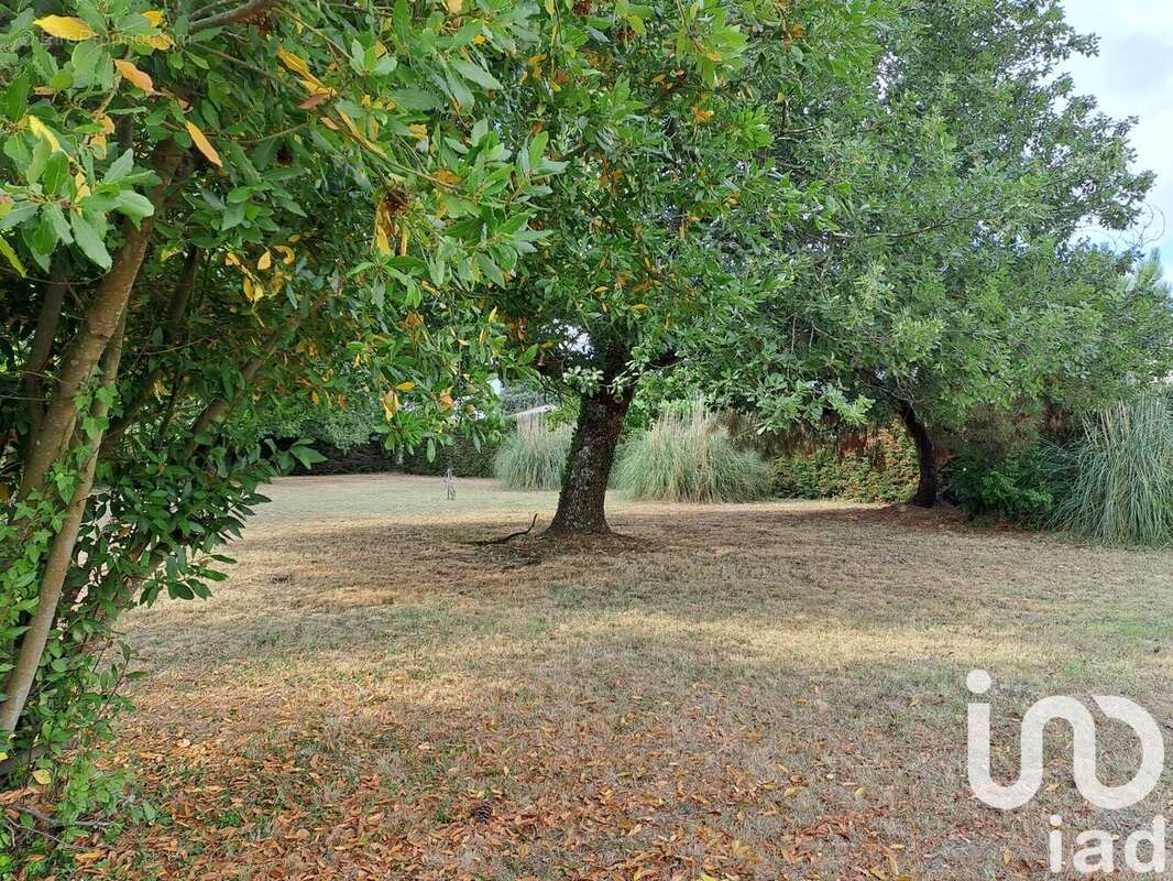 Photo 3 - Maison à ETAULES