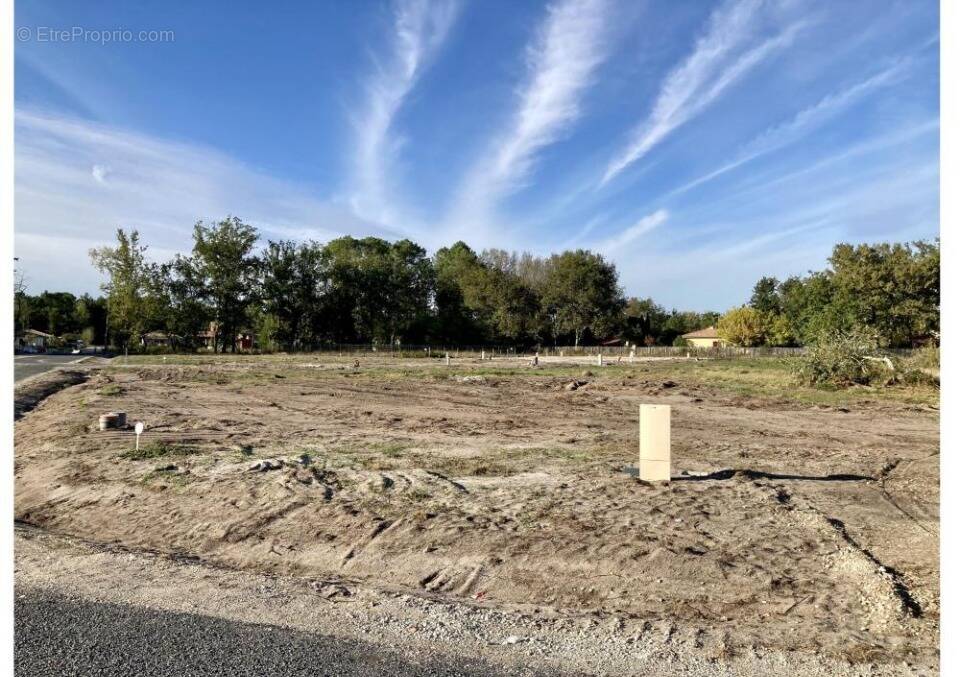 Terrain à LE TAILLAN-MEDOC