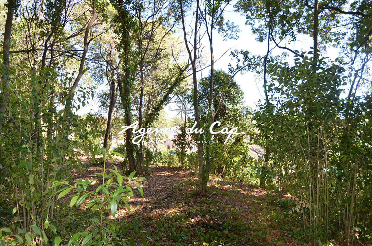 Terrain à FREJUS