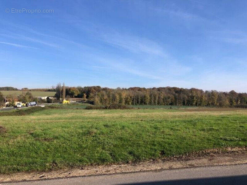 Photo 1 - Terrain à BETON-BAZOCHES