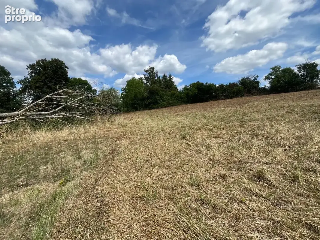 Terrain 2 085 m² à vendre à Razac-Sur-L'isle (24430) - photo 300