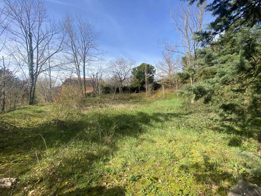 Terrain à ALBI