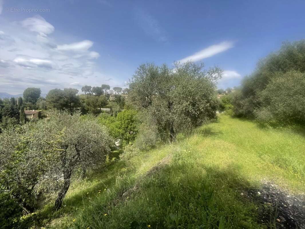 Colomars - La Sirole terrain de 1585m² - photo 3