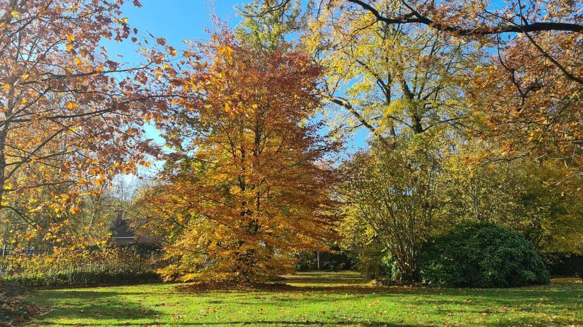 Photo 7 - Maison à CROIX