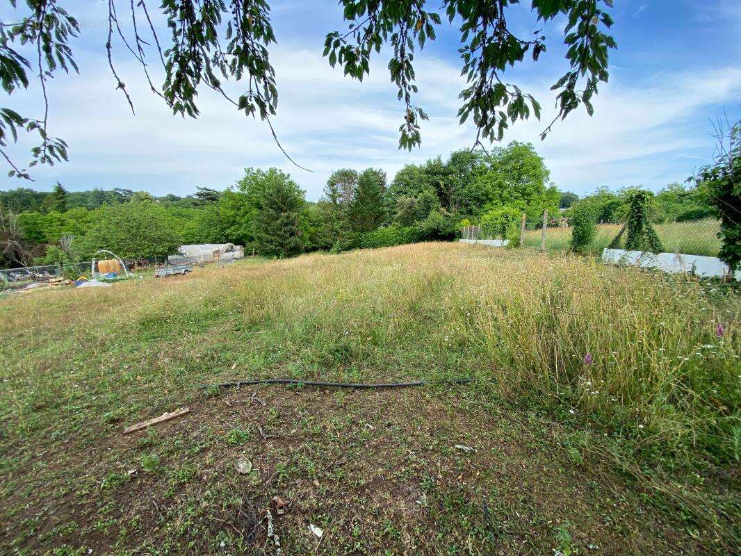 Terrain à SAINTE-ALVERE