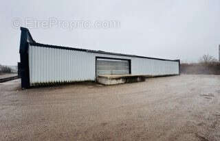 Commerce à ARS-SUR-MOSELLE