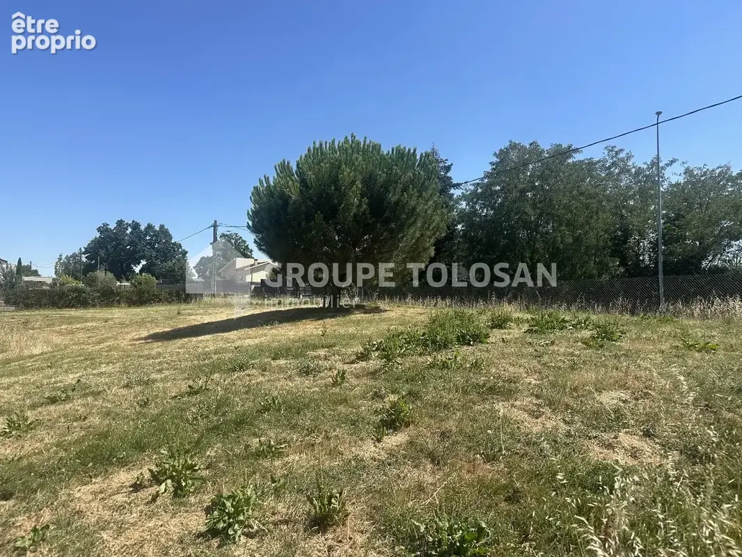 Rouffiac-tolosan - photo 2