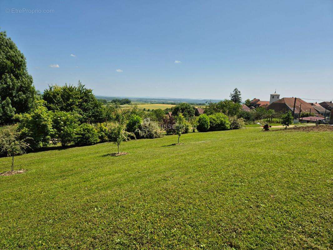 Maison secteur Vauvillers 163 m2 sur 43 ares de terrain - photo 3