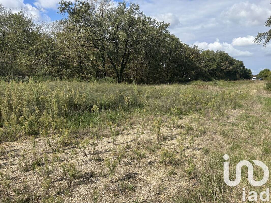 Photo 1 - Terrain à LA VILLE-DIEU-DU-TEMPLE