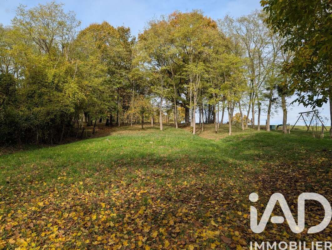 Photo 5 - Terrain à DOMFRONT-EN-CHAMPAGNE