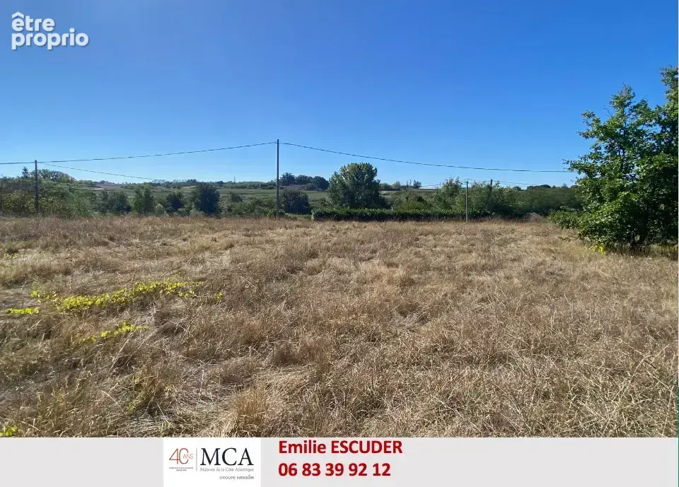 Terrain 960 m² à vendre à La Reole (33190) - photo 2