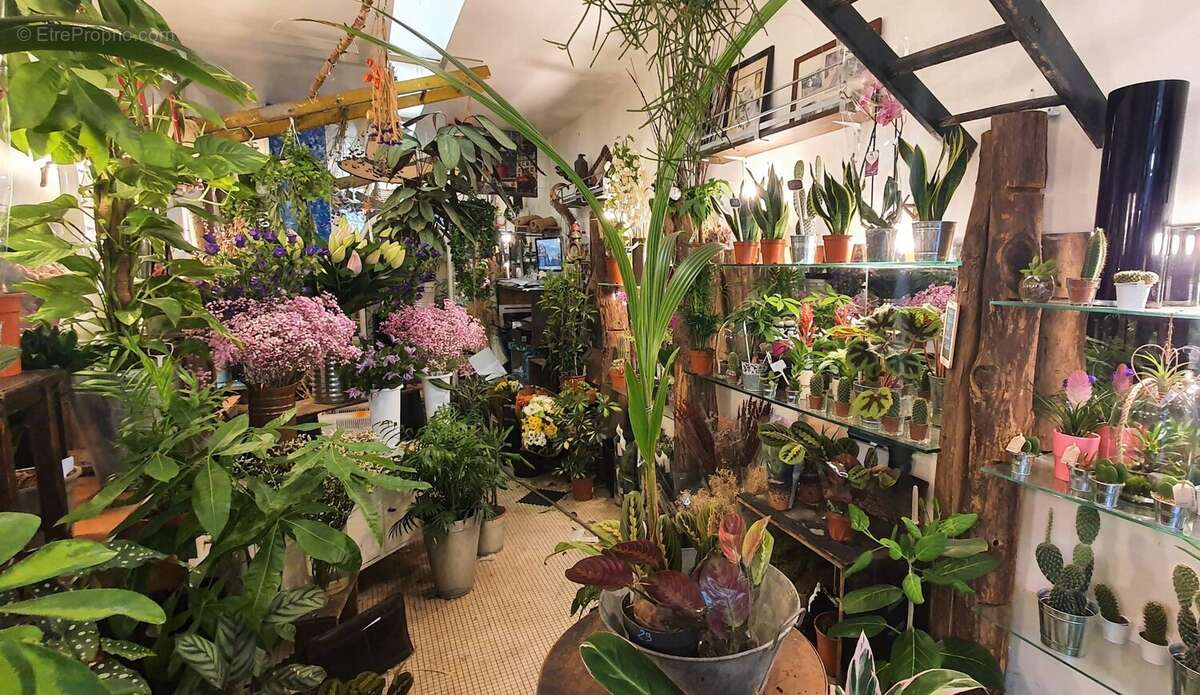 Commerce à PARIS-11E