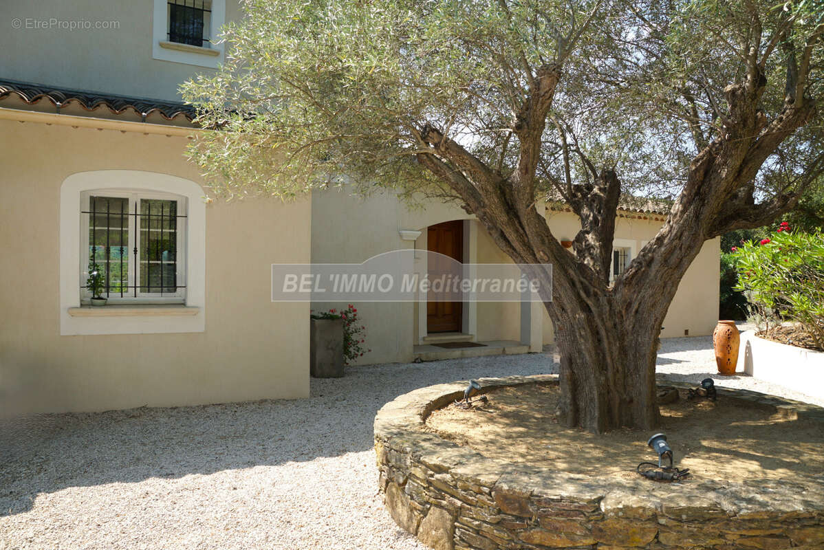 Propriété de 200 m2, piscine, terrain de 4000 m2 - photo 10