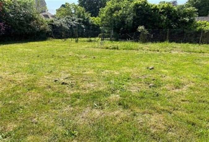 Terrain à LES CHAPELLES-BOURBON