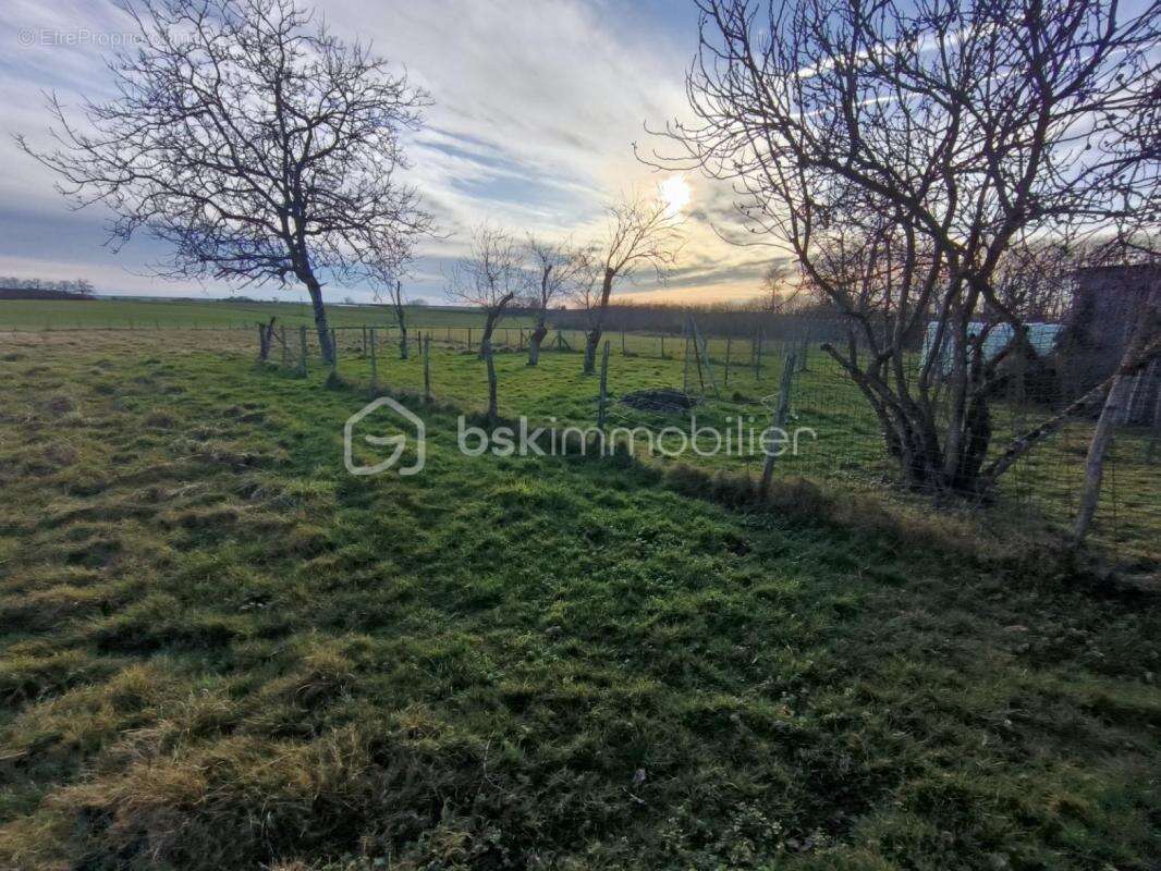 Maison 4 pièces avec dépendances sur 4447m² de terrain - photo 18