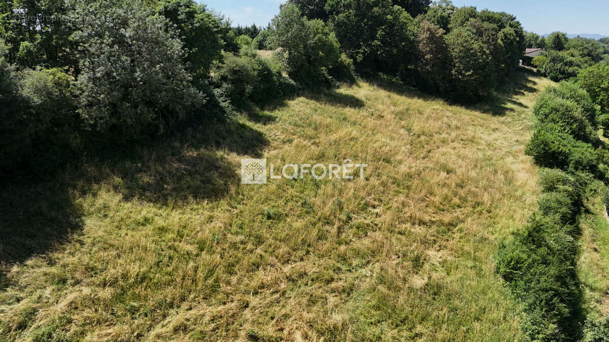 Terrain à CHATILLON-SUR-CHALARONNE