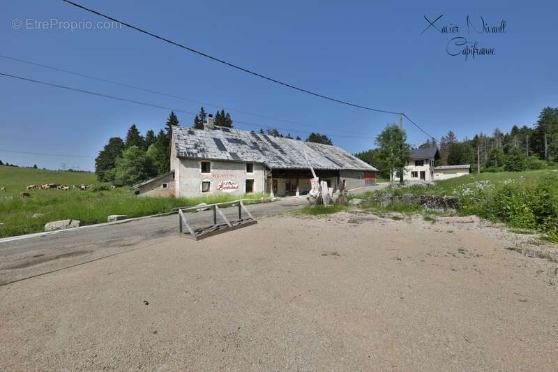 Maison à LE GRAND-ABERGEMENT