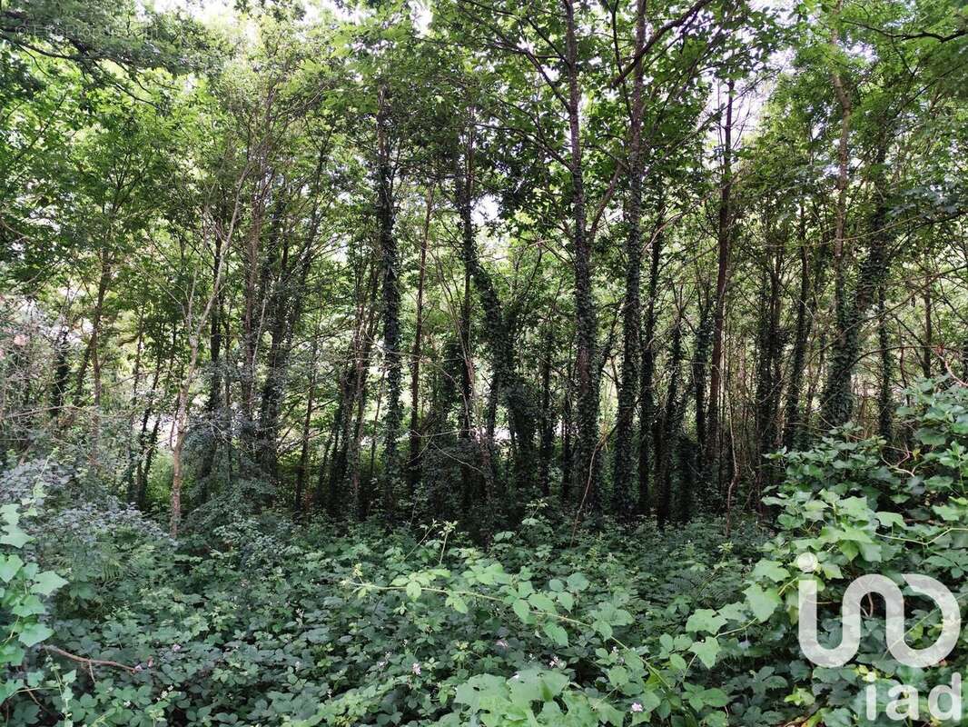 Photo 2 - Terrain à SAINT-JACUT-LES-PINS