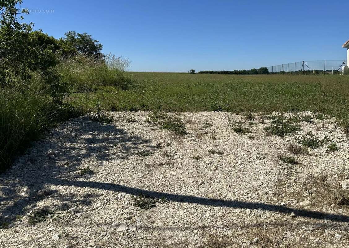 Terrain à SAINT-CLAR