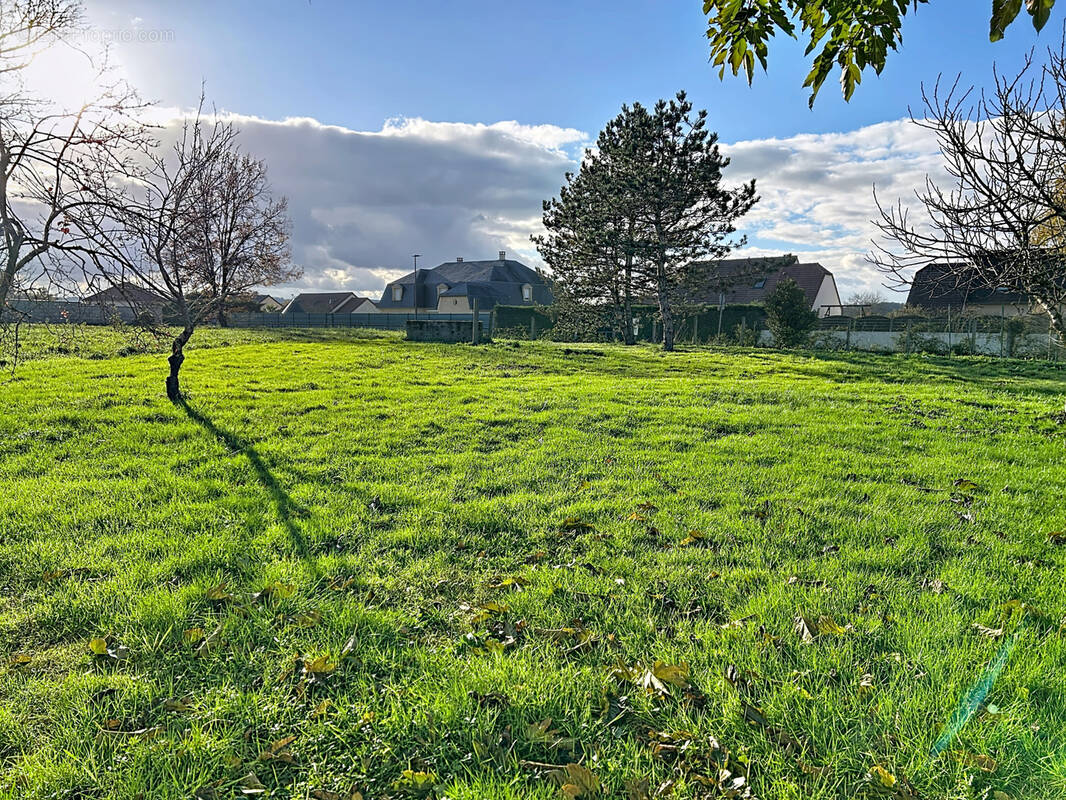 Terrain à SAINT-PANTALEON-DE-LARCHE