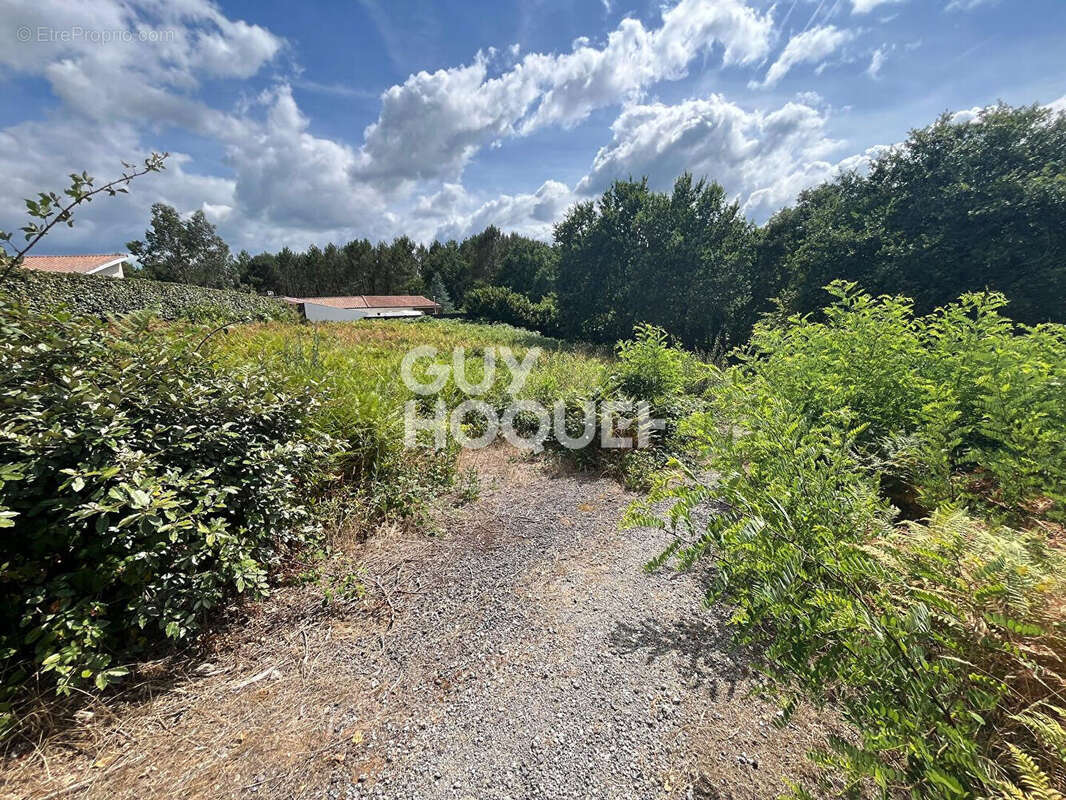 A vendre  : Terrain  de 2067m2 à Rion Des Landes ( 40370) - photo 4