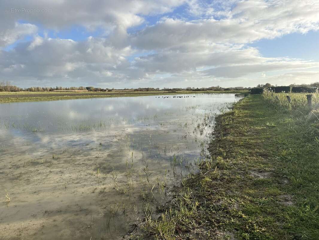 Terrain à CAYEUX-SUR-MER