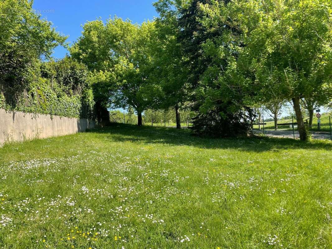 Photo 2 - Terrain à SAINT-GEORGES-LES-BAILLARGEAUX