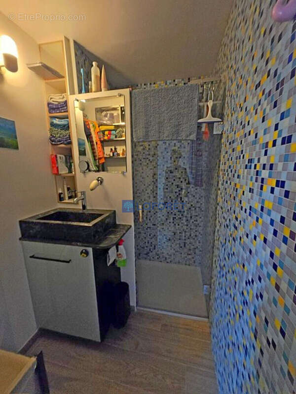 Appartement Saintes Maries De La Mer 1 pièce(s) 29 m2 - photo 8