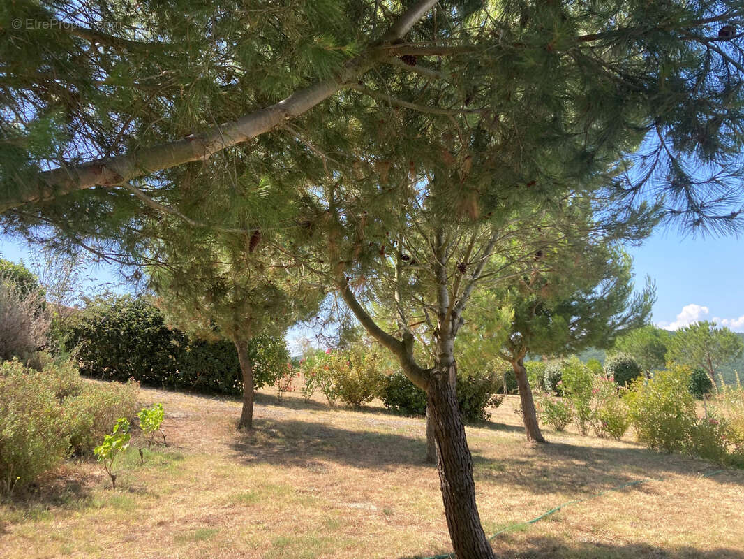 Axe Carcassonne/Limoux, villa de plain pieds 2 chambres, garage, atelier, et piscine - photo 5