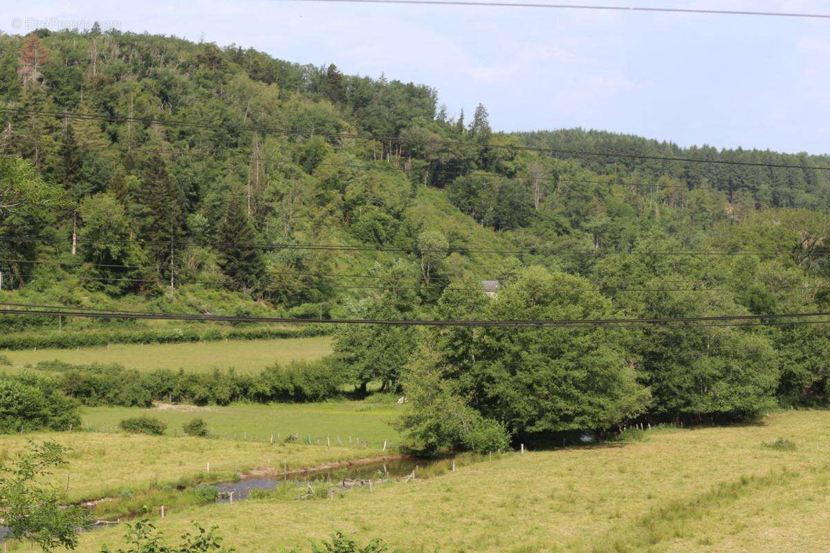 Maison ancienne dans un hameau du parc du Morvan - photo 13