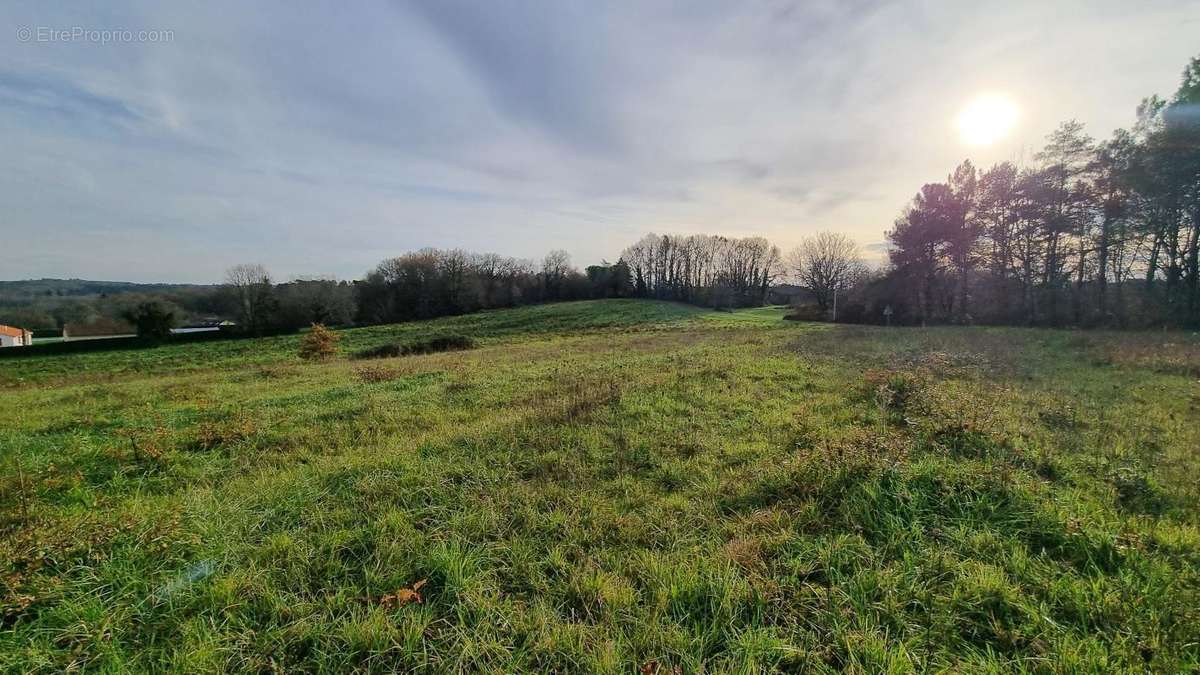 Terrain à CAMPSEGRET