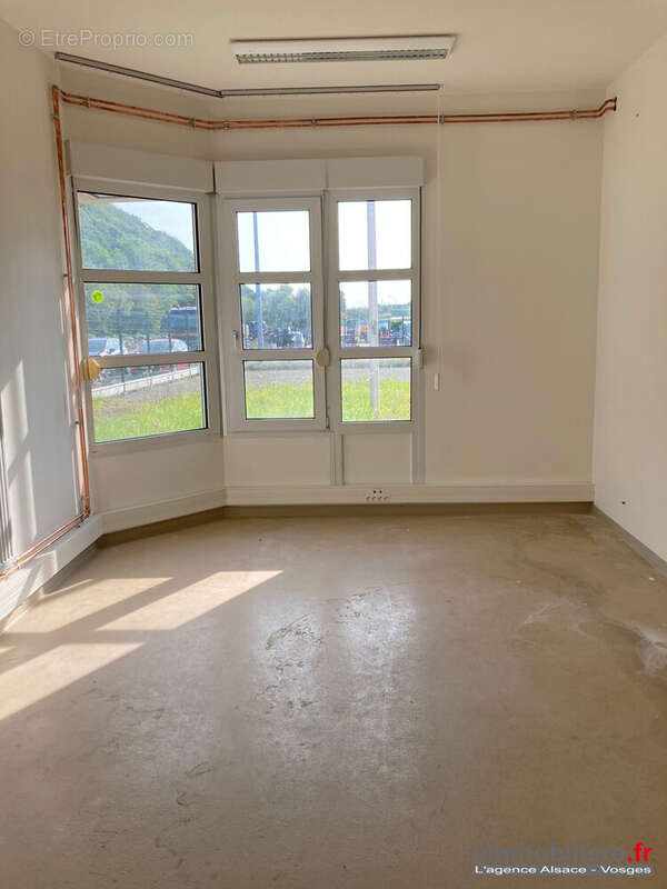 Commerce à SAINTE-MARIE-AUX-MINES