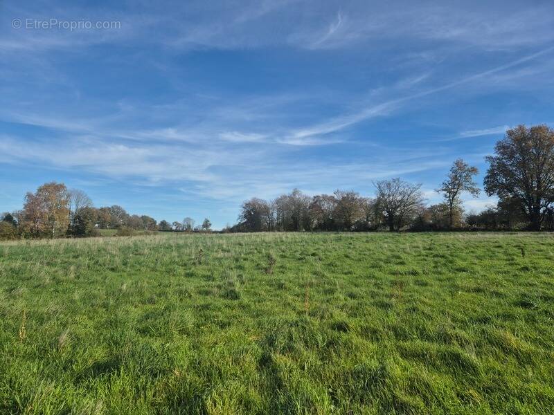 Terrain à ORSENNES
