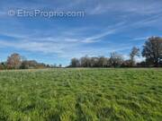 Terrain à ORSENNES