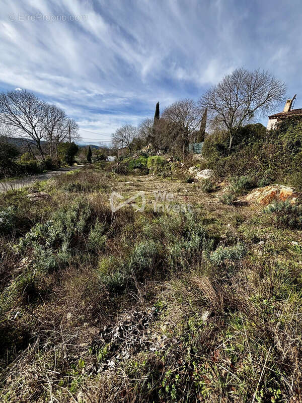Terrain à MONTFORT-SUR-ARGENS