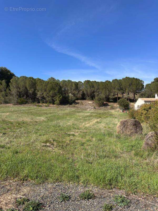 Terrain à LA DIGNE-D'AMONT