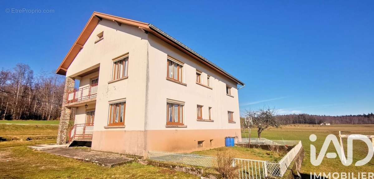 Photo 3 - Maison à PLOMBIERES-LES-BAINS