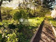 Photo 1 - Maison à BALMA