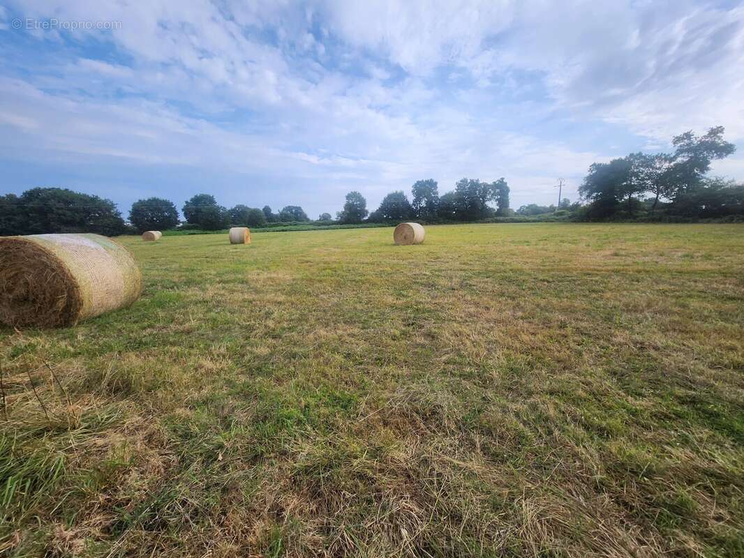 Magnifique terrain constructible - photo 5