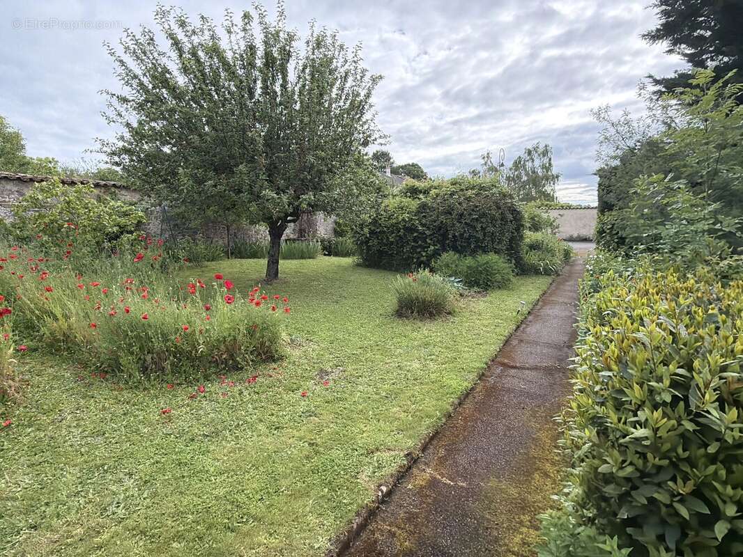 Une propriété chargée d'histoire qui évoque une atmosphère valencienne dès l'entrée - photo 16
