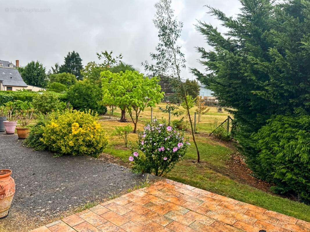 Maison à SAINT-DENIS-D'ANJOU