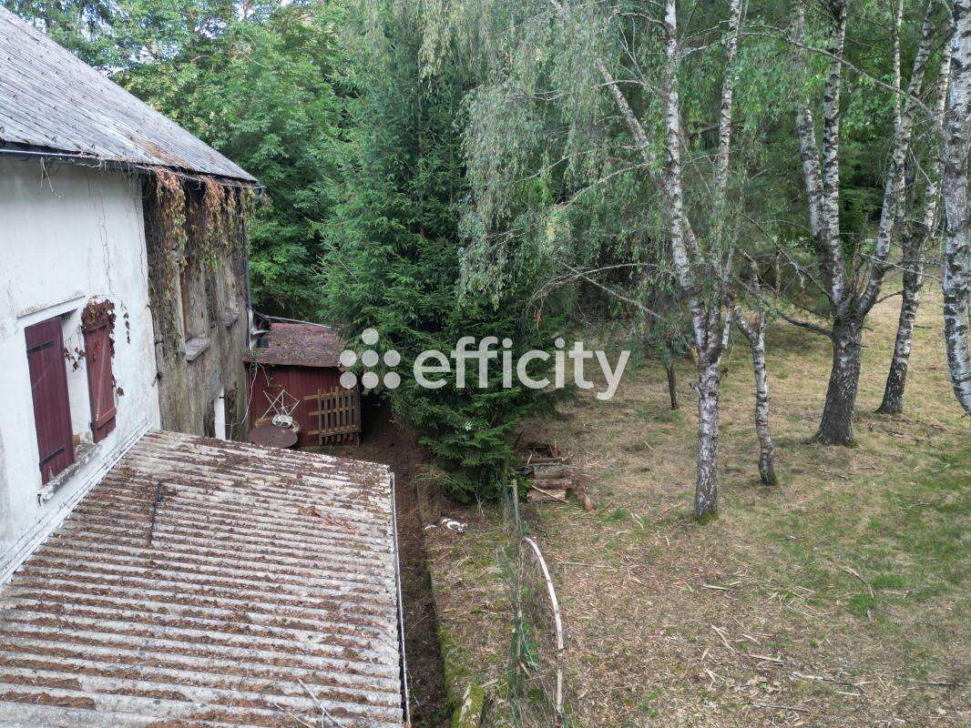 Maison 353 m² à Aurieres  - photo 3